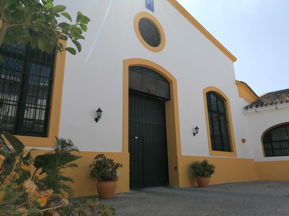 Entre Bodegas Jerez Apartment Jerez de la Frontera Ngoại thất bức ảnh